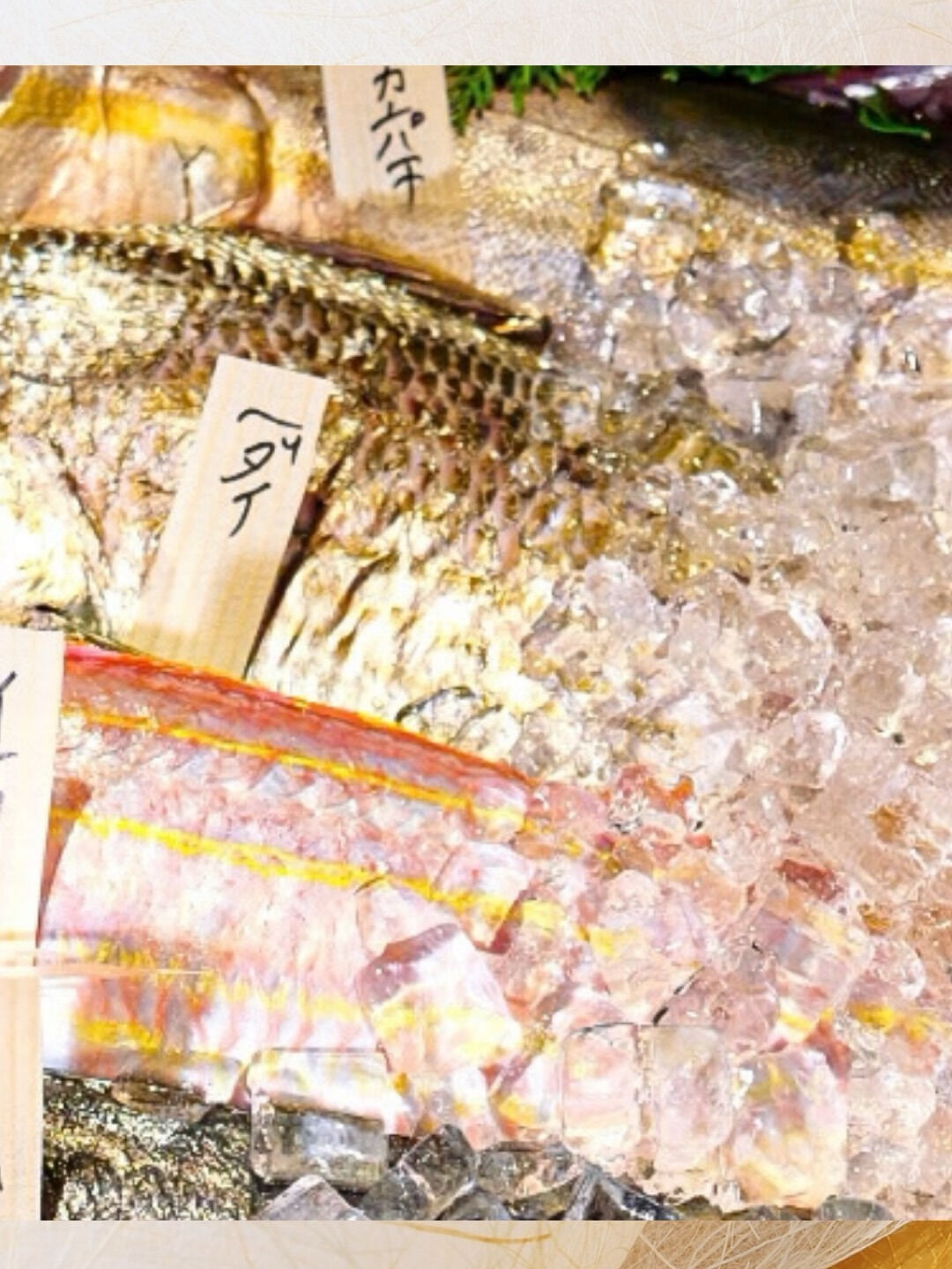 【大阪の街を眺めながら、旬の和食を】あべのハルカス13F🌙