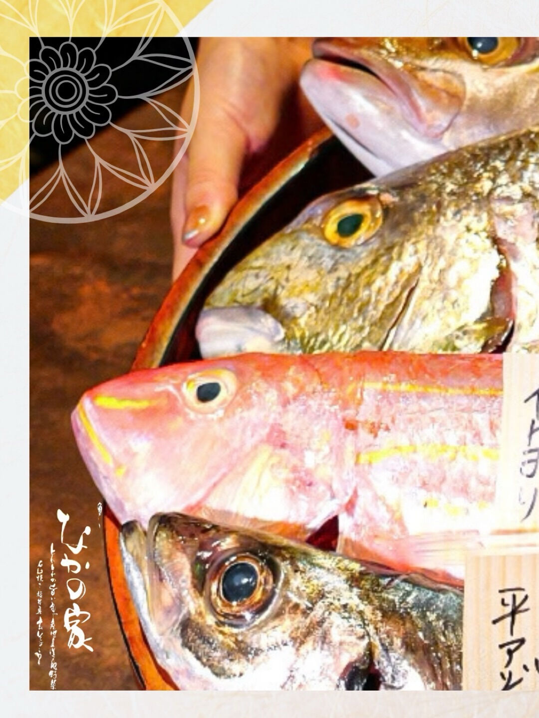 阿倍野で、鮮魚や旬の野菜が楽しめるランチを✨